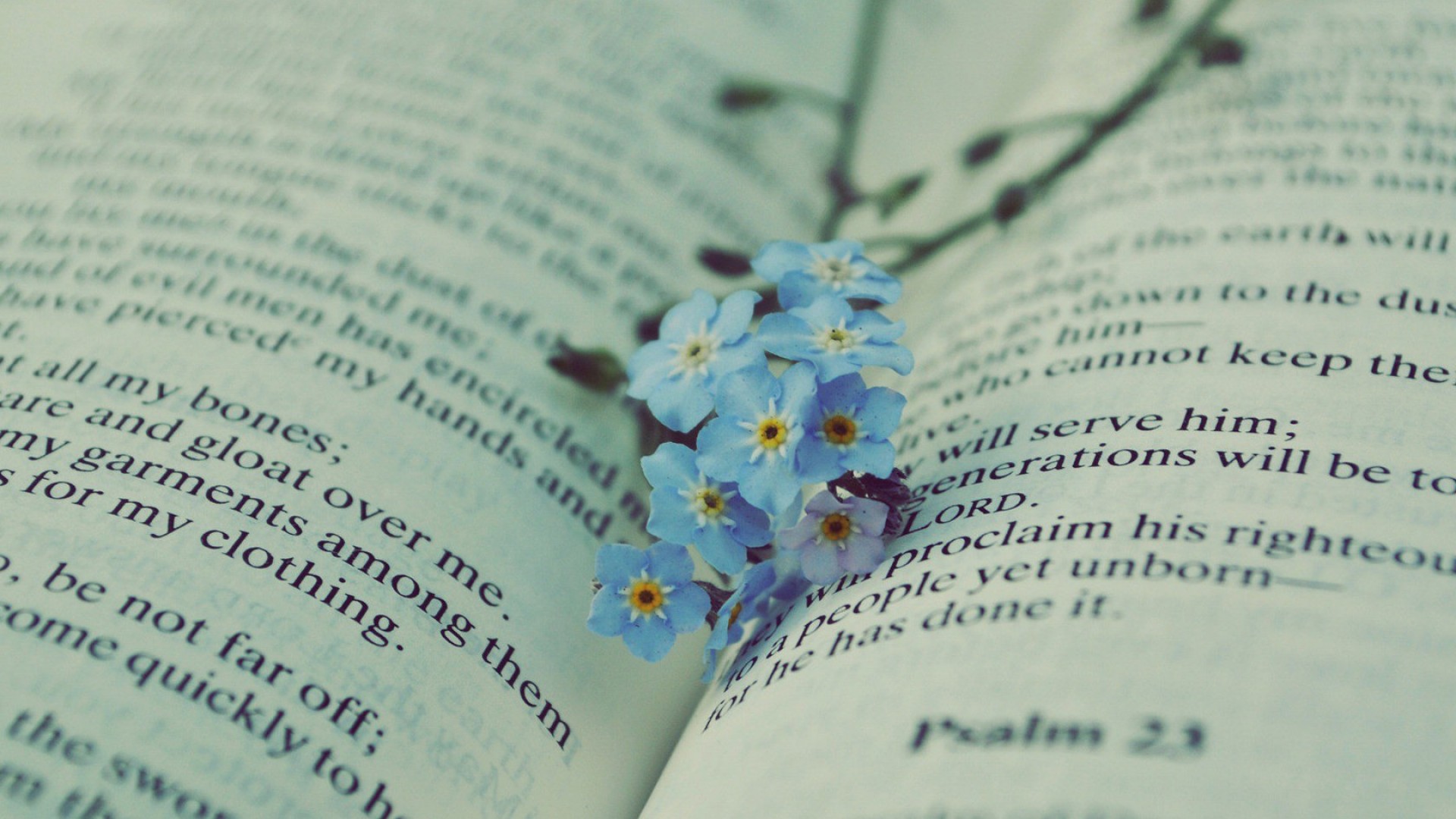 PaperTest論文檢測系統(tǒng)，papertest和知網(wǎng)系統(tǒng)對比