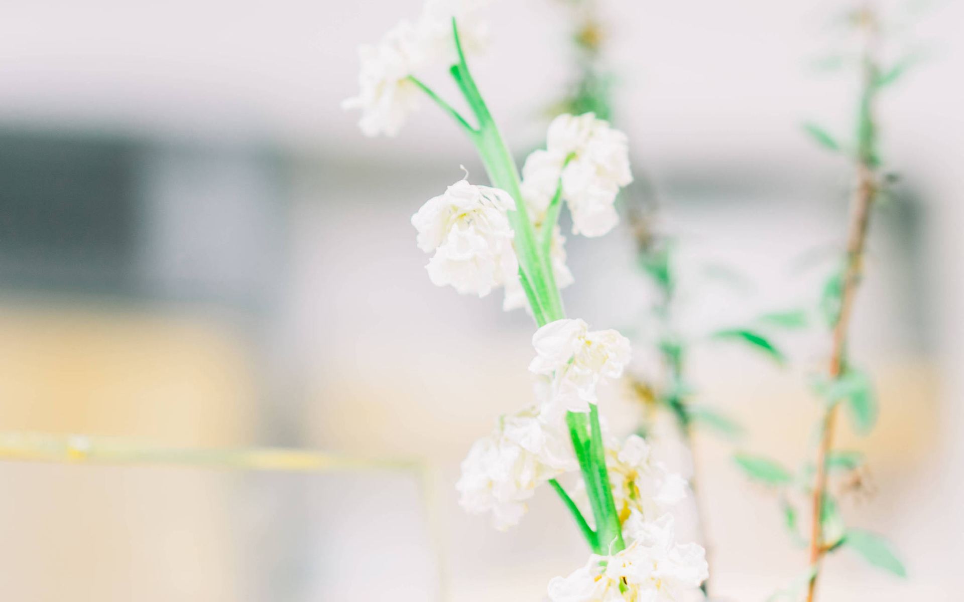 論文添加腳注時(shí)有什么方法跟步驟