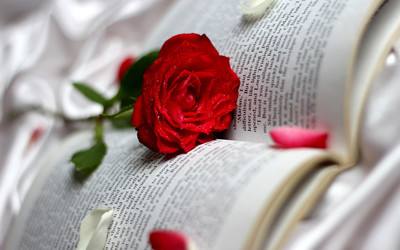 怎么寫好論文引言