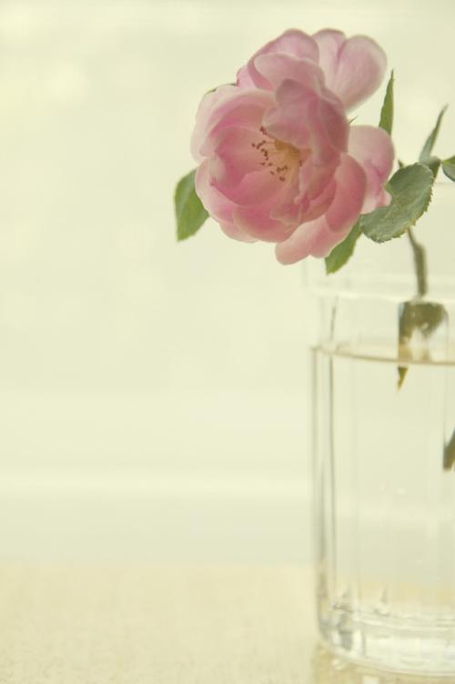 畢業(yè)論文排版時(shí)遇到的誤區(qū)